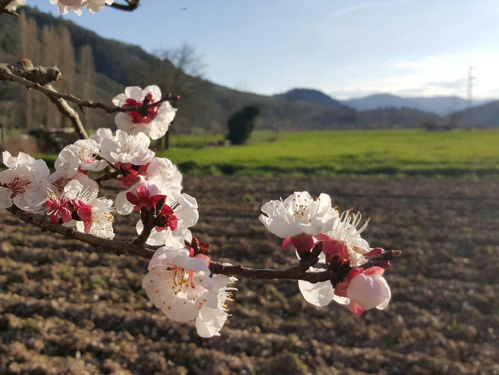 Agriturismo I Terzieri Ferentillo Ngoại thất bức ảnh