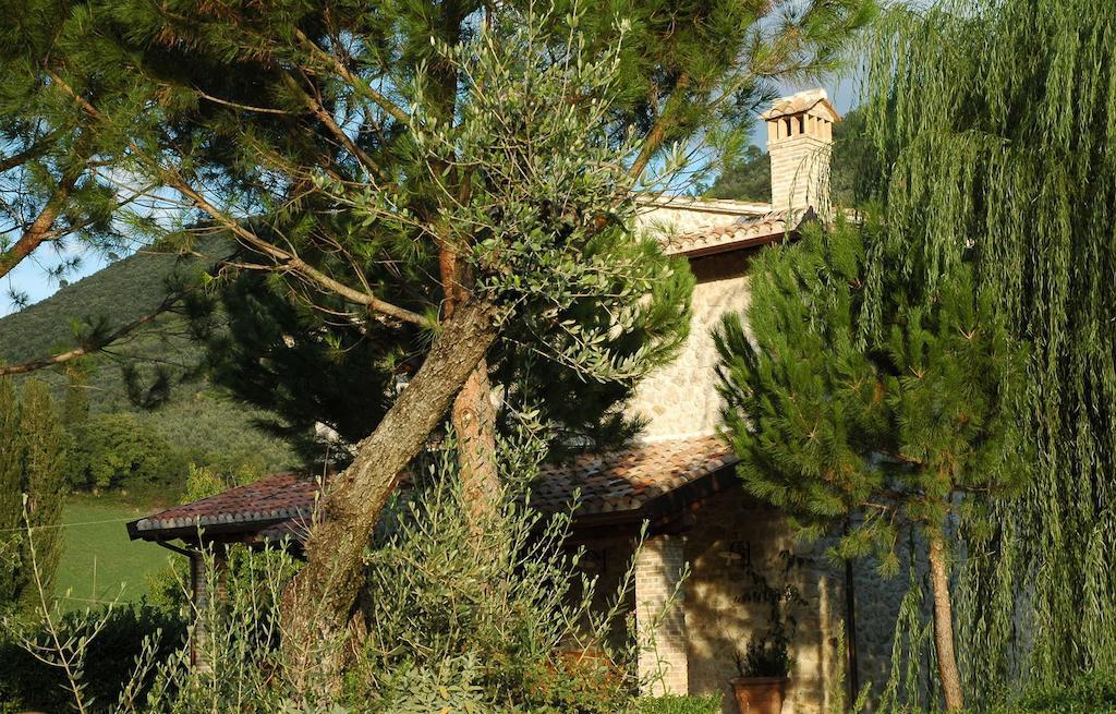Agriturismo I Terzieri Ferentillo Ngoại thất bức ảnh