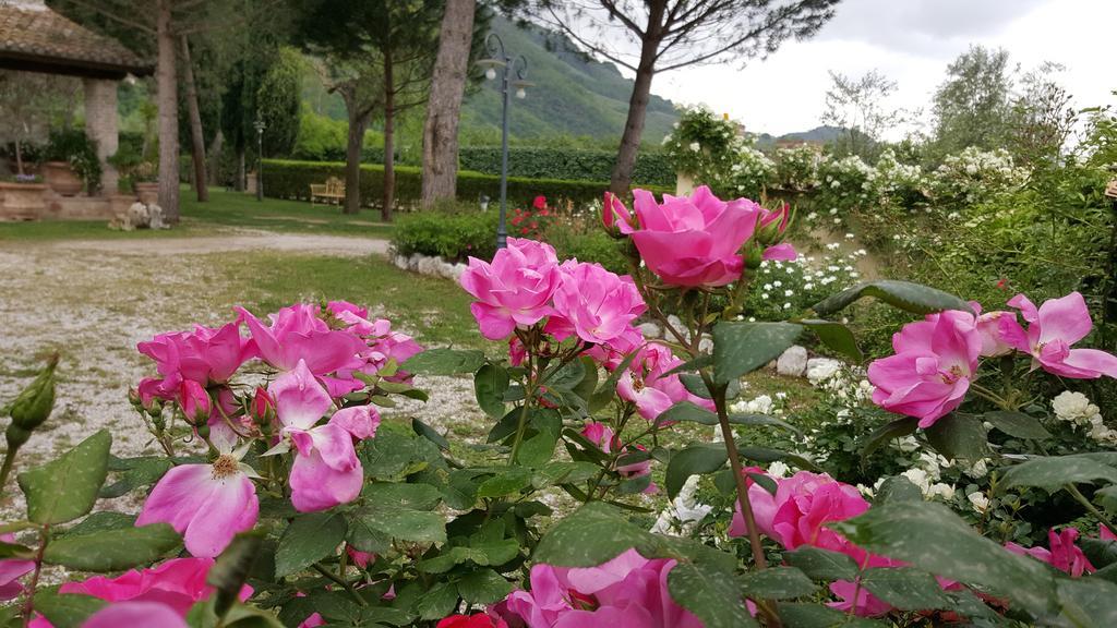 Agriturismo I Terzieri Ferentillo Ngoại thất bức ảnh
