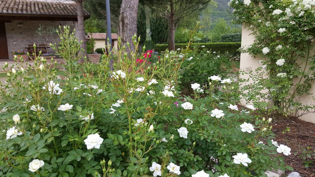 Agriturismo I Terzieri Ferentillo Ngoại thất bức ảnh